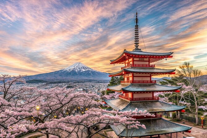 From Tokyo: Mt Fuji and Hakone Private Day Trip - Accessibility and Amenities