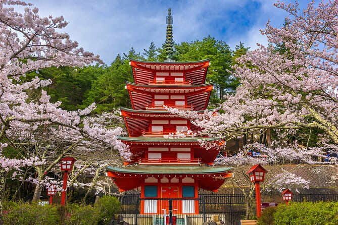 From Tokyo: Mt Fuji and Hakone Private Day Trip - Highlights of the Mt. Fuji Experience