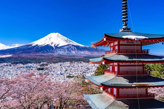 From Tokyo: Mt Fuji and Hakone Private Day Trip - Exploring the Wonders of Hakone