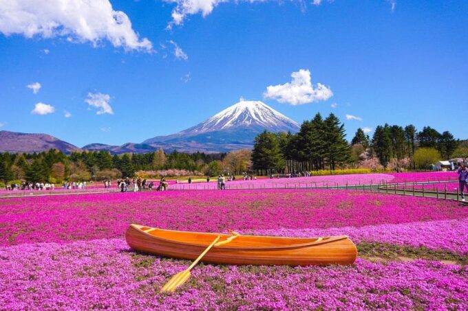 From Tokyo: Mt. Fuji And Hakone Private Sightseeing Day Trip - Transportation and Accessibility