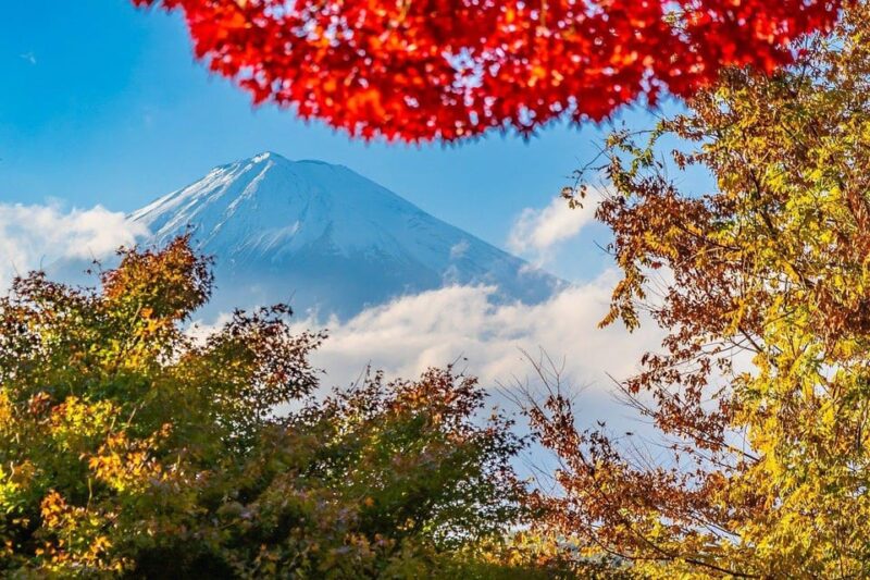 From Tokyo: Mt. Fuji And Hakone Private Sightseeing Day Trip - Itinerary A: Mt. Fuji Highlights