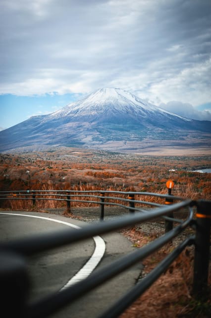 From Tokyo: Mt. Fuji And Hakone Private Sightseeing Day Trip - Inclusions