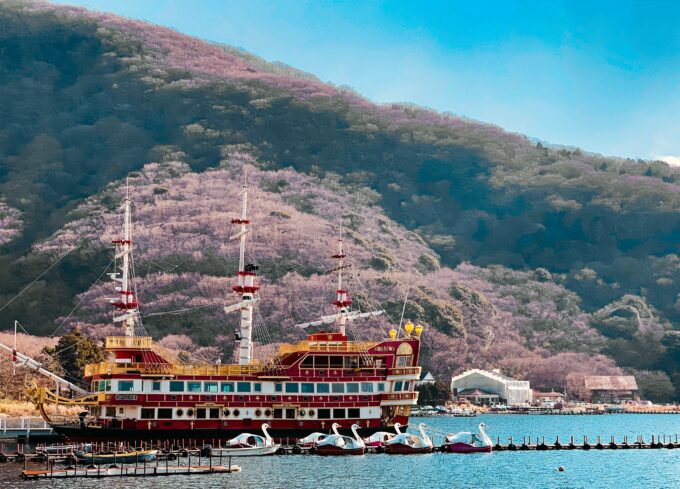 From Tokyo: Mt. Fuji And Hakone Private Sightseeing Day Trip - Important Information