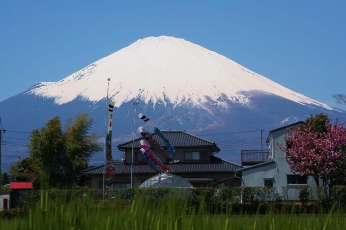 From Tokyo: Mt. Fuji And Hakone Private Sightseeing Day Trip - Pickup Details