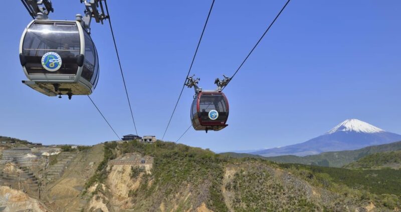 From Tokyo: Mt Fuji and Hakone Ropeway Private Tour - Itinerary