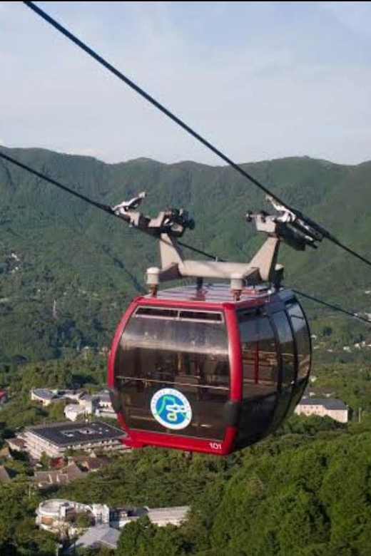 From Tokyo: Mt Fuji and Hakone Ropeway Private Tour - Pickup and Drop-off