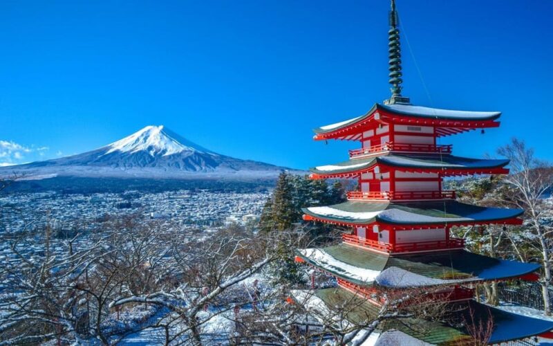 From Tokyo: Mt. Fuji Customizable Full Day Private Tour - Key Points