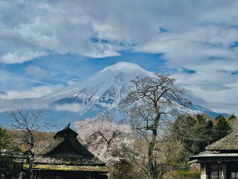 From Tokyo: Mt. Fuji Customizable Full Day Private Tour - Itinerary Highlights