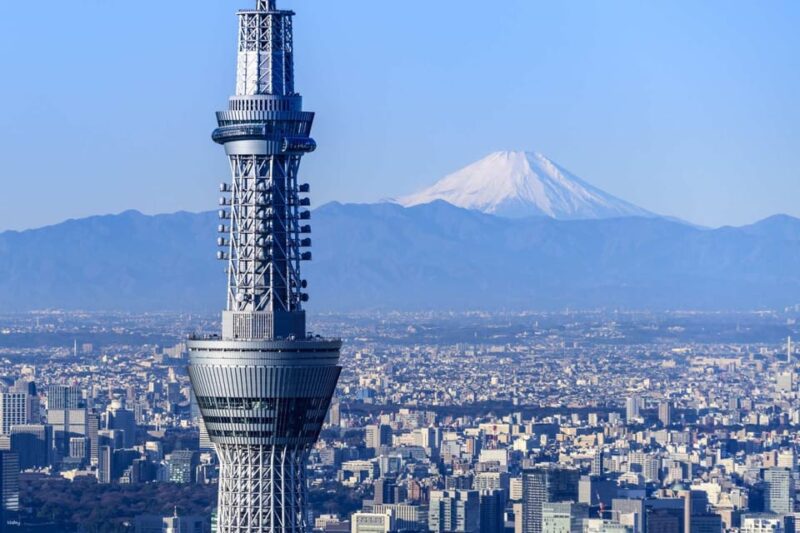 From Tokyo: Mt. Fuji Customizable Full Day Private Tour - Included Features