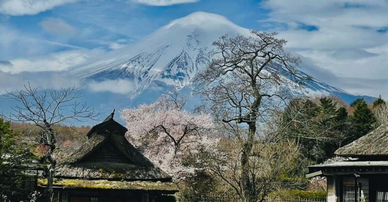 From Tokyo: Mt. Fuji Customizable Full Day Private Tour - Booking and Payment Options