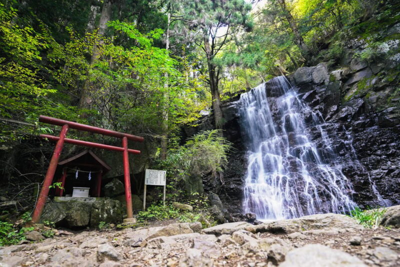 From Tokyo: Mt. Fuji Day Tour W/ Private Car & Nature Guide - Vegan and Dietary Options