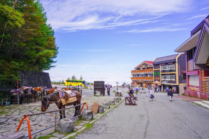 From Tokyo: Mt. Fuji Day Tour W/ Private Car & Nature Guide - Tour Photography and Souvenirs