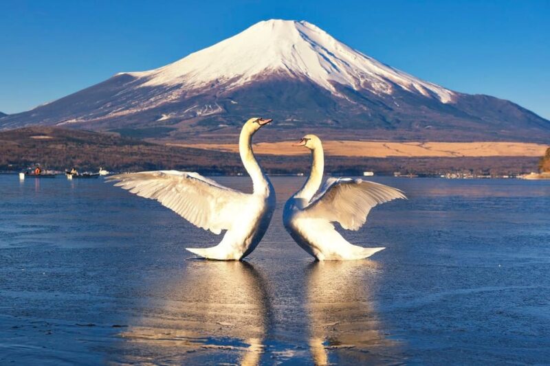From Tokyo: Mt. Fuji Day Tour With Oshino Hakkai & Ropeway - Key Points