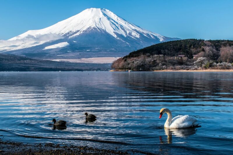 From Tokyo: Mt Fuji Day Trip With English Speaking Chauffeur - Key Points