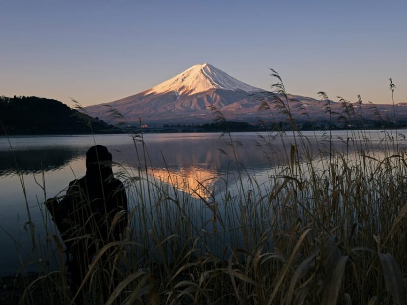 From Tokyo: Mt Fuji Day Trip With English Speaking Chauffeur - Itinerary Highlights