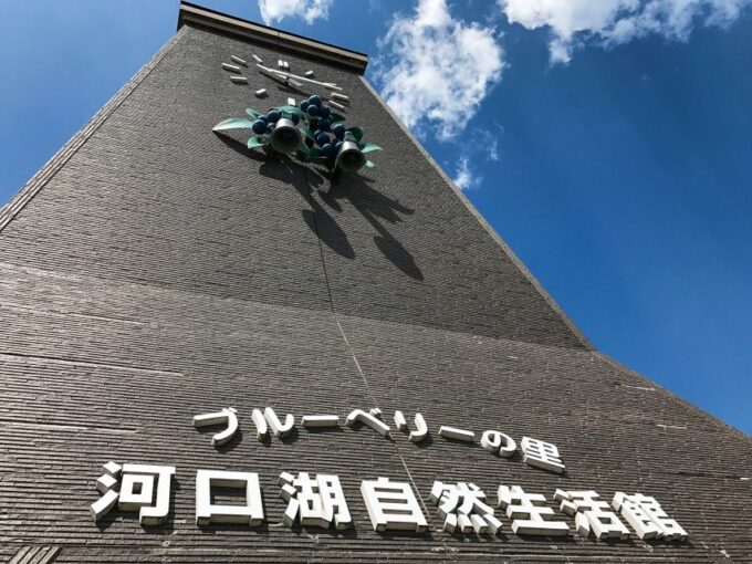 From Tokyo: Mt. Fuji Full-Day Sightseeing Trip - Mount Fuji 5th Station