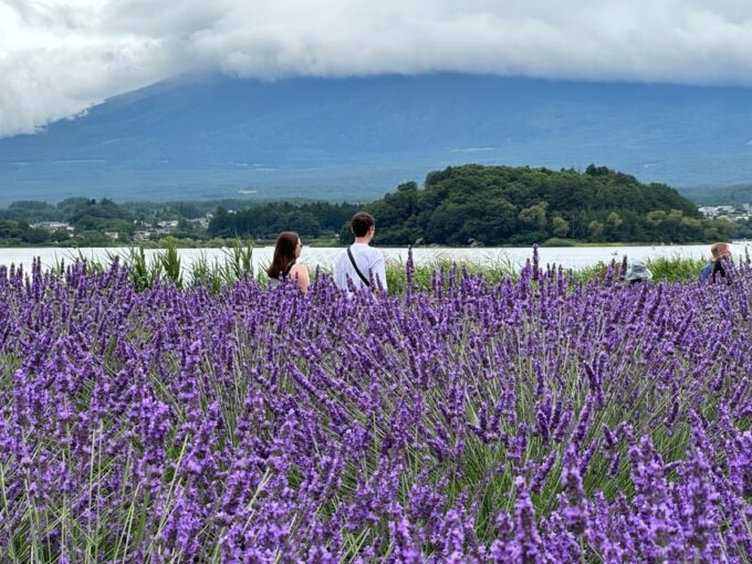 From Tokyo: Mt.Fuji & Gotemba Outlets Private Day Trip - Nearby Attractions