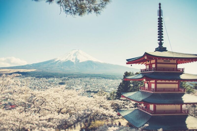 From Tokyo: Mt. Fuji & Hakone One Day Private Tour - Key Points