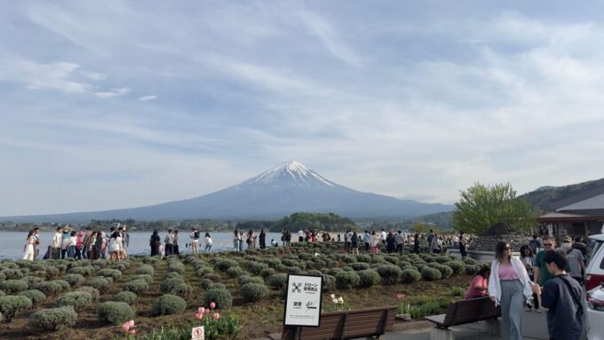 From Tokyo: Mt. Fuji & Hakone One Day Private Tour - Luxury Transportation