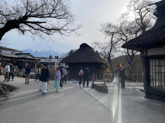 From Tokyo: Mt. Fuji & Hakone One Day Private Tour - Visitor Considerations