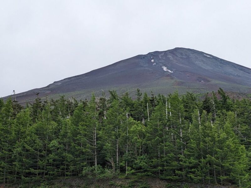 From Tokyo: Mt. Fuji & Hakone Tour W/ Return by Bullet Train - Customer Reviews and Ratings