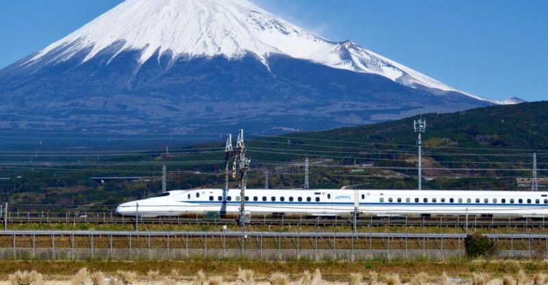 From Tokyo: Mt. Fuji & Hakone Tour W/ Return by Bullet Train - Inclusions