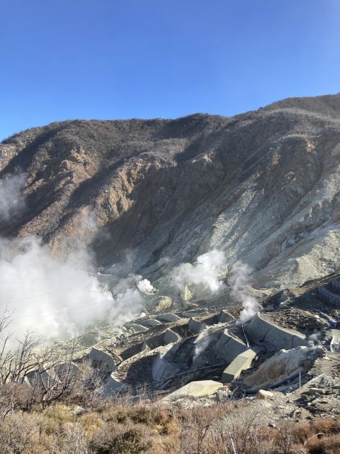 From Tokyo: Mt. Fuji & Hakone Tour W/ Return by Bullet Train - Visit Subaru Line and Mt. Fuji