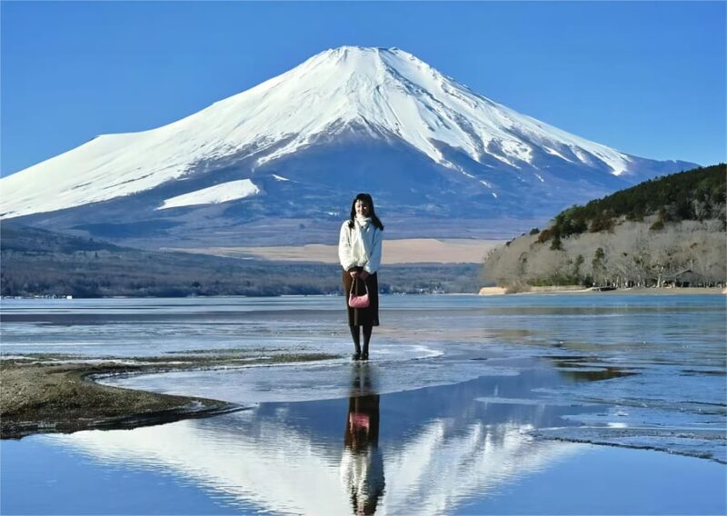 From Tokyo: Mt Fuji Instagram-Worthy Full-Day English Tour - Oshino Hakkai