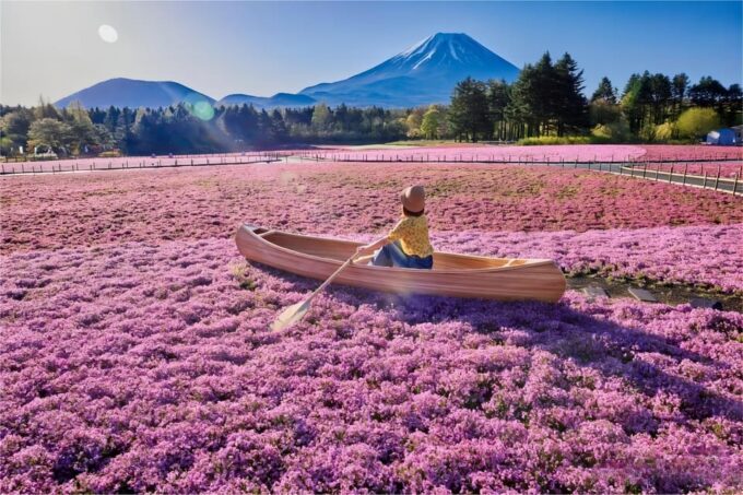 From Tokyo: Mt Fuji Instagram-Worthy Full-Day English Tour - Lake Kawaguchi Oishi Park