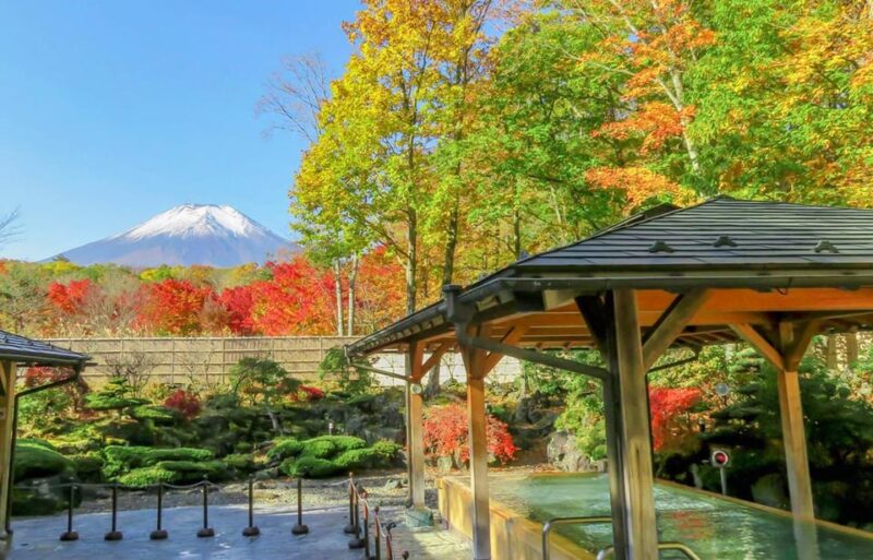 From Tokyo: Mt.Fuji, Lake Kawaguchi and Yamanaka Day Tour - Key Points