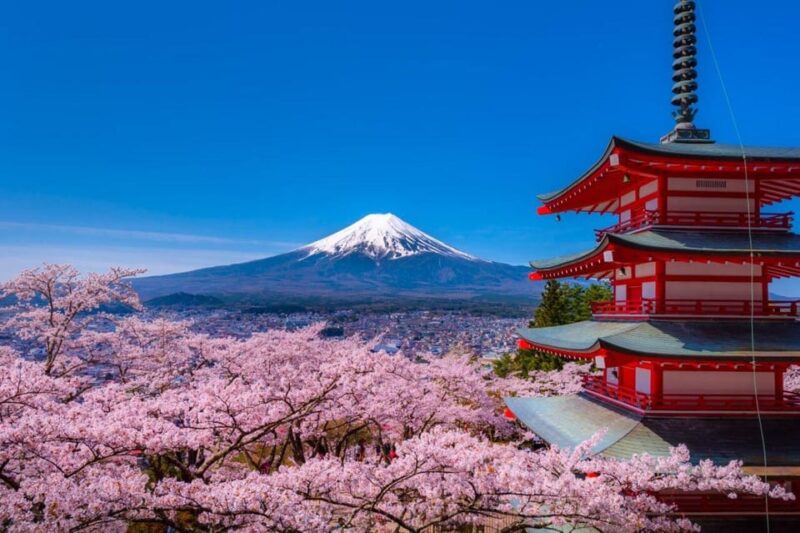 From Tokyo: Mt.Fuji, Lake Kawaguchi, Oshino Hakkai Day Tour - Key Points