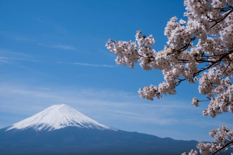 From Tokyo: Mt. Fuji, Lakes & Pagoda With Oshino Hakkai Tour - Key Points