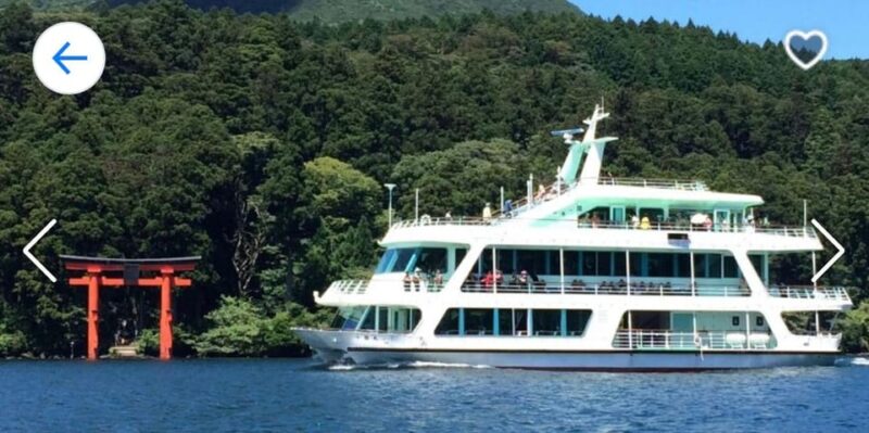 From Tokyo: Mt. Fuji or Hakone Private Sightseeing Day Trip - Key Points