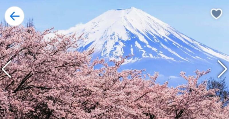 From Tokyo: Mt. Fuji or Hakone Private Sightseeing Day Trip - Optional Stops