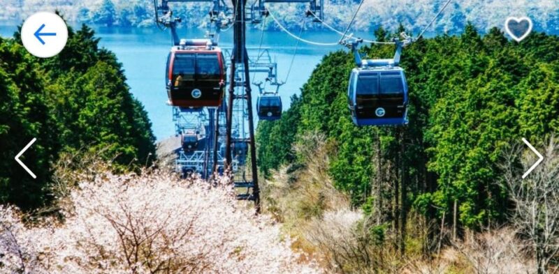 From Tokyo: Mt. Fuji or Hakone Private Sightseeing Day Trip - Duration and Group Size