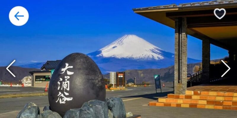 From Tokyo: Mt. Fuji or Hakone Private Sightseeing Day Trip - Exclusions
