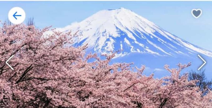 From Tokyo: Mt. Fuji or Hakone Private Sightseeing Day Trip - The Hakone Open-Air Museum