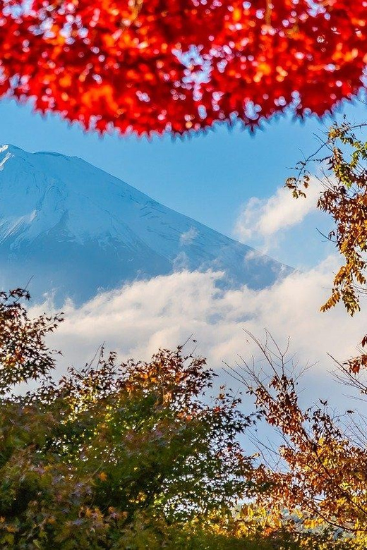From Tokyo: Mt. Fuji or Hakone Private Sightseeing Day Trip - Itinerary Options