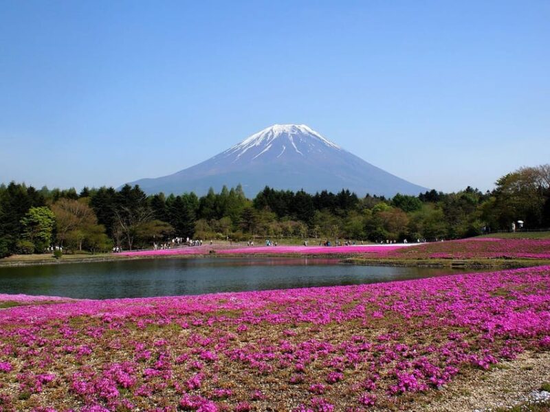 From Tokyo: Mt. Fuji or Hakone Private Sightseeing Day Trip - Lake Kawaguchiko and Ropeway