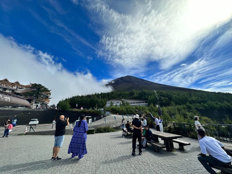 From Tokyo: Mt. Fuji or Hakone Private Sightseeing Day Trip - Key Points