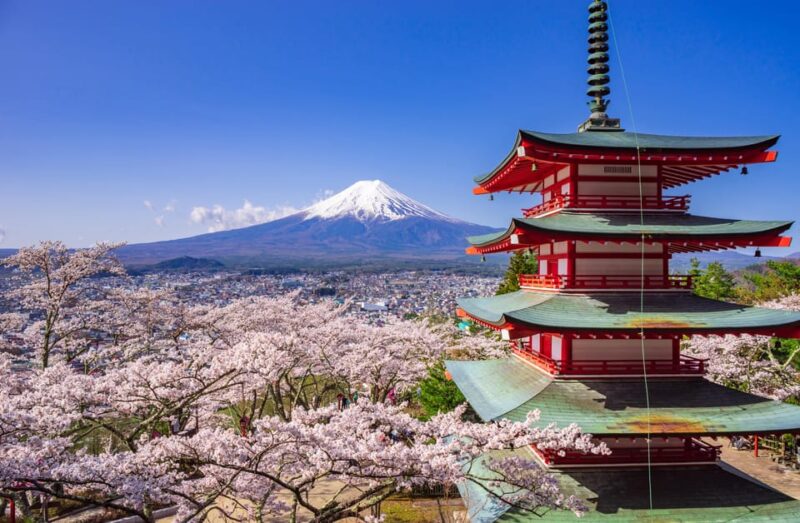 From Tokyo: Mt. Fuji or Hakone Private Sightseeing Day Trip - Customization Flexibility