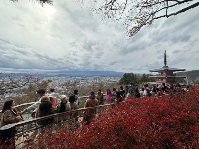 From Tokyo: Mt. Fuji or Hakone Private Sightseeing Day Trip - Planning Your Day Trip