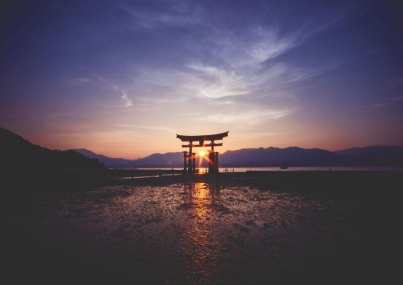 From Tokyo: Mt. Fuji or Hakone Private Sightseeing Day Trip - Flowers and Mt. Fuji at Oishi Park