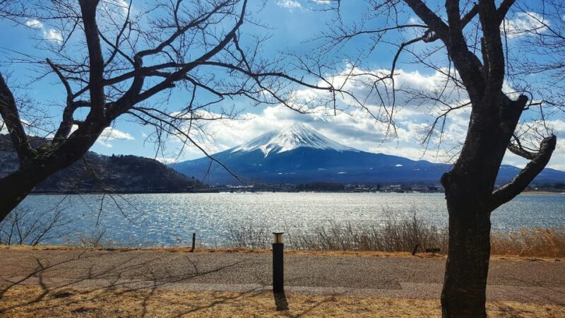 From Tokyo: Mt. Fuji or Hakone Sightseeing Private Day Tour - Discovering Fujis Majesty