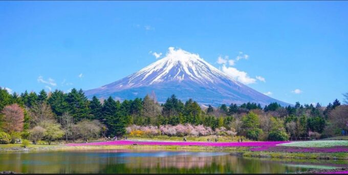 From Tokyo: Mt. Fuji or Hakone Sightseeing Private Day Tour - Suitability and Restrictions