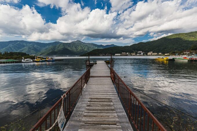 From Tokyo: Mt. Fuji or Hakone Sightseeing Private Day Tour - Transportation and Private Guide