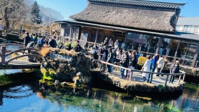 From Tokyo: Mt. Fuji or Hakone Sightseeing Private Day Tour - Oshino Hakkai and Lake Yamanaka
