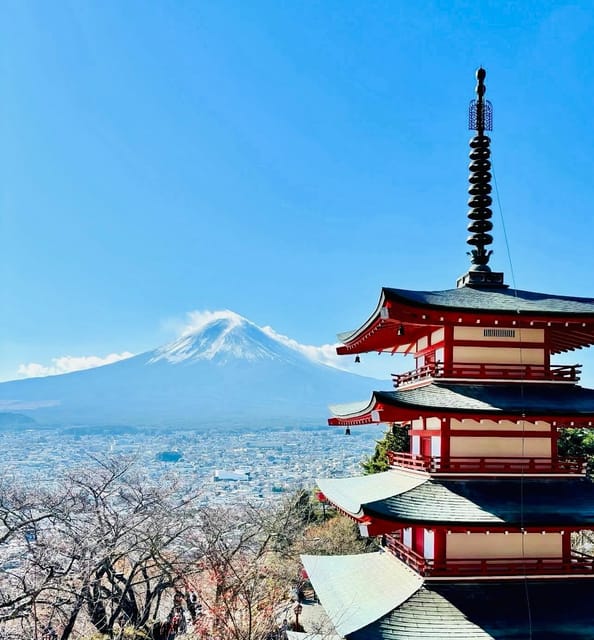 From Tokyo: Mt. Fuji Private Car Day Trip With Guide - Experiencing the Oshino Hakkai Springs