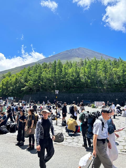 From Tokyo: Mt. Fuji Private Car Day Trip With Guide - Visiting the Fujisan Hongu Sengen Taisha Shrine