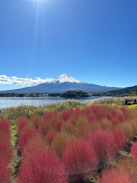 From Tokyo: Mt. Fuji Private Car Day Trip With Guide - Boat Ride on the Tranquil Waters